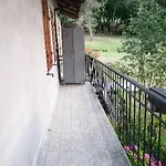 Le Ortensie *