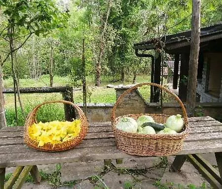 Hébergement de vacances Le Ortensie Macra